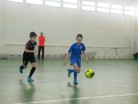 IMG_4666